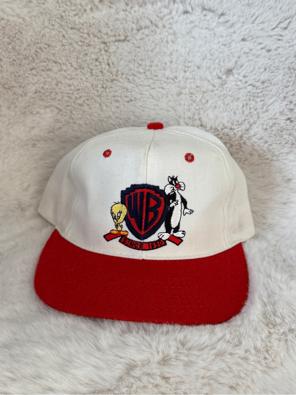 Vintage 90s Looney Tunes X Warner Bros SnapBack Hat